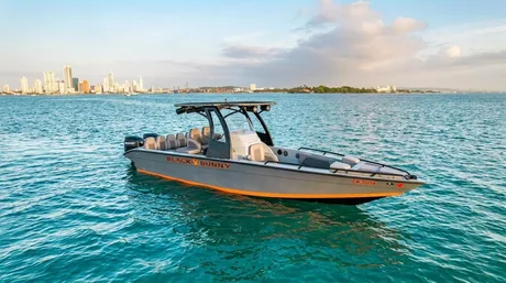 Black Bunny — Center console con hardtop, 2 motores