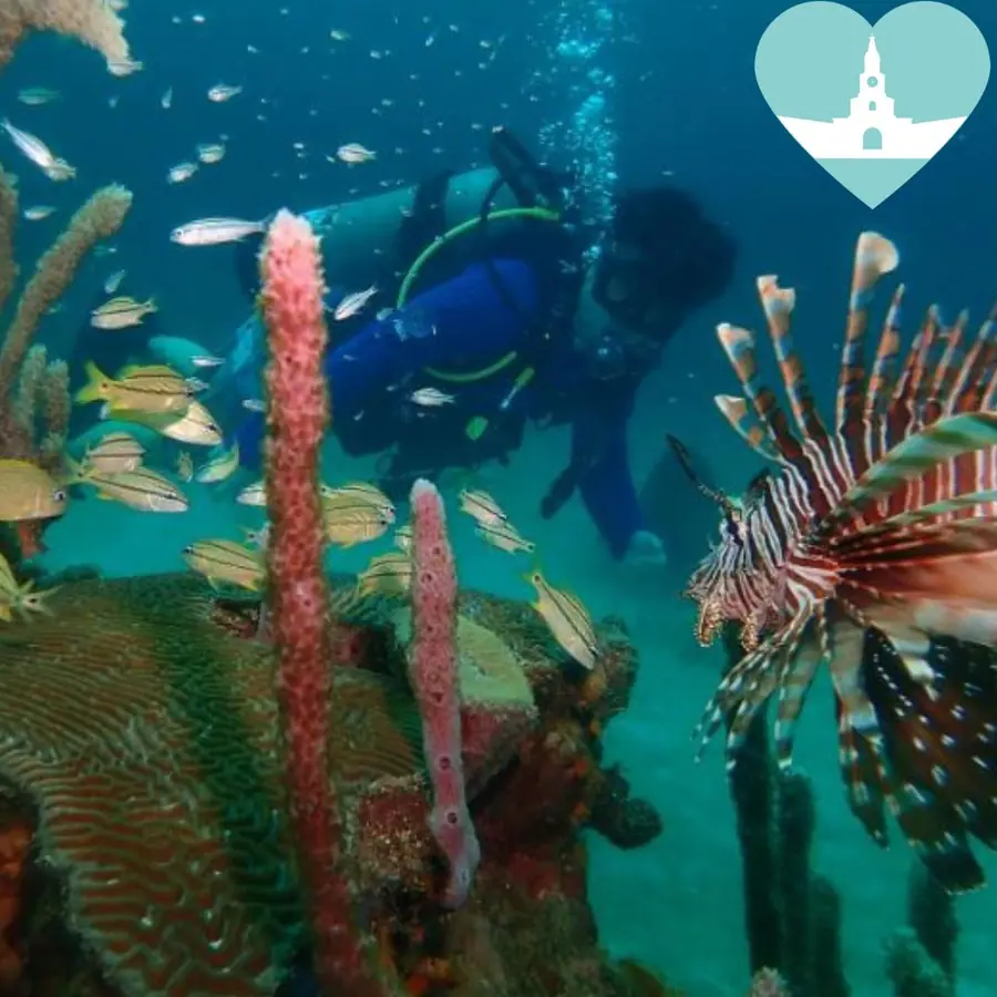 Buceo de iniciación y pasadía en Mambo Beach — 5