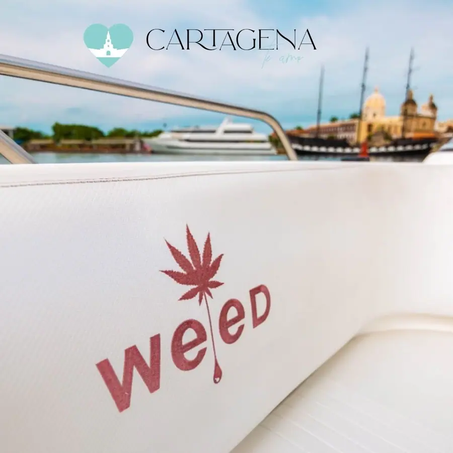 Lancha Weed 38 Pies para 14 Pasajeros — 2