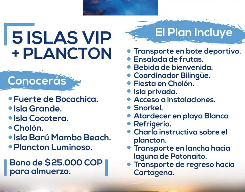 Tour de plancton bioluminiscente en Barú — 3