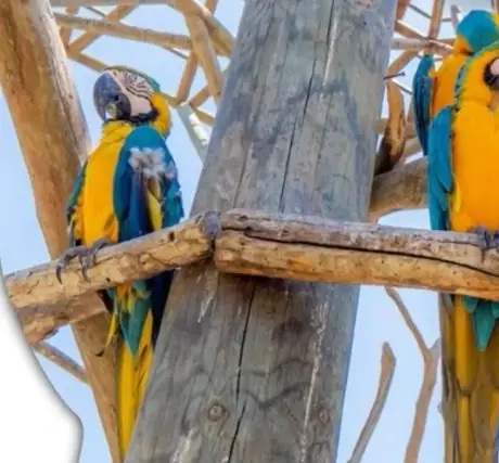 Aviario Nacional, beach club en Barú y plancton bioluminiscente en un solo día.