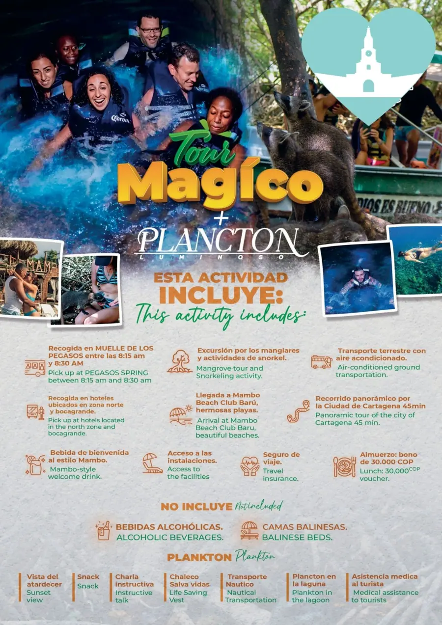 Pasadía en Barú con snorkel y plancton nocturno — 2