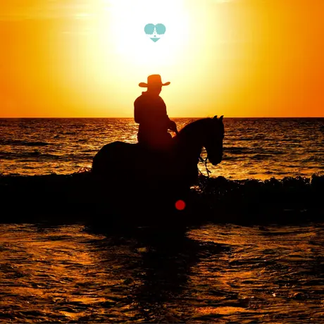 Cabalgata por la playa con caballos de paso colombiano y visita a Casa Villa Bonga.