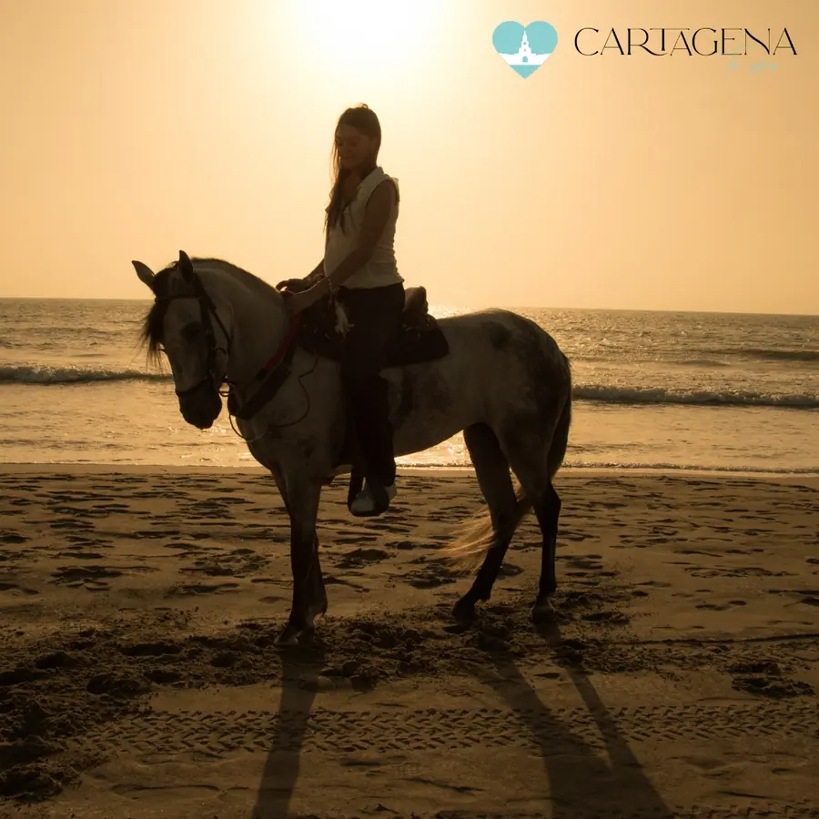 Cabalgata en la playa de Barú con caballos de paso — 4