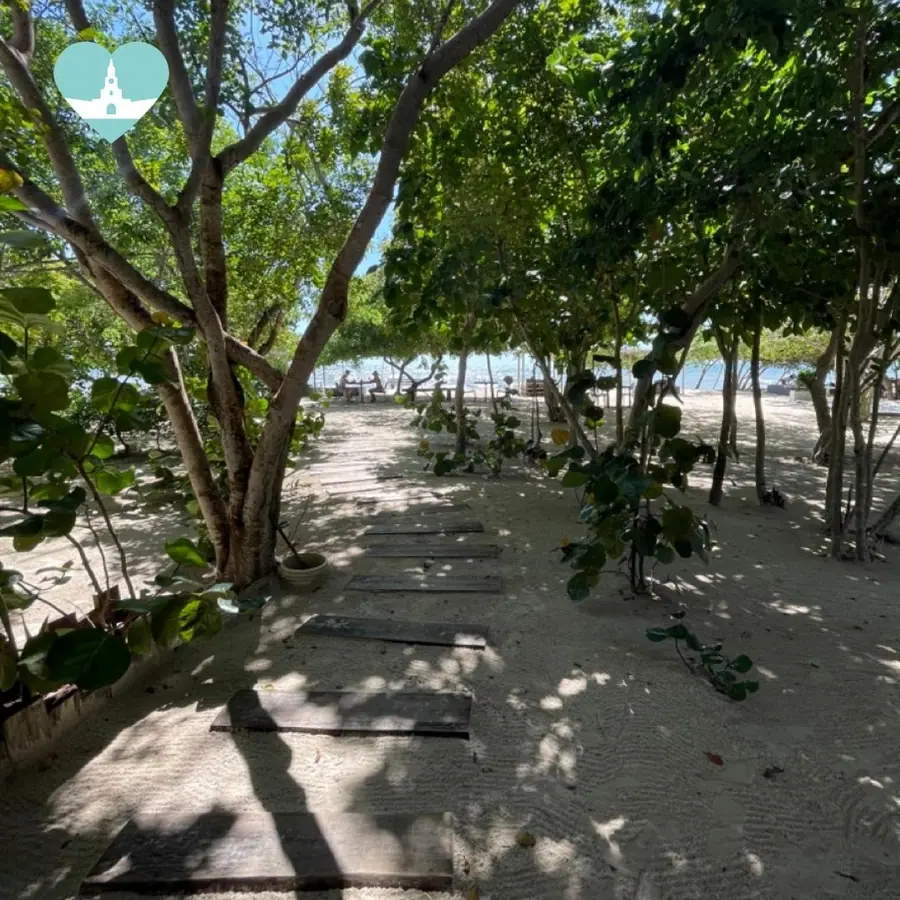 Día de playa y naturaleza en Isla del Rosario — 3