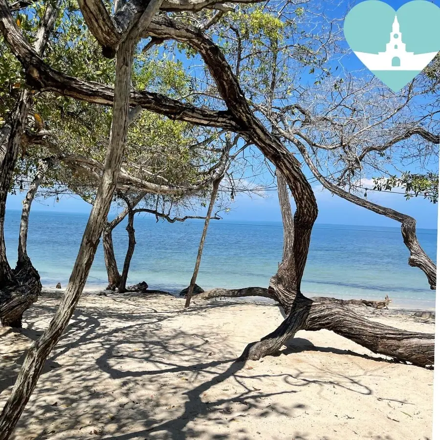 Día de playa y naturaleza en Isla del Rosario — 5