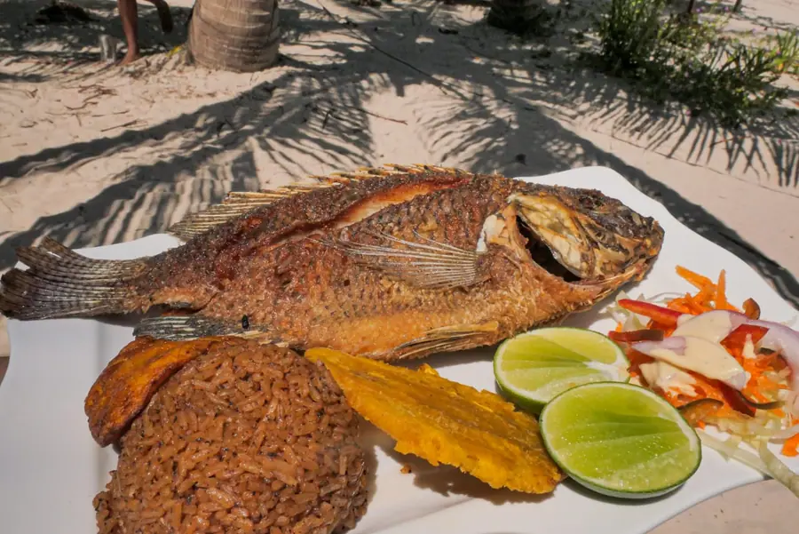 Tour VIP a Islas del Rosario: playa y snorkel — 2