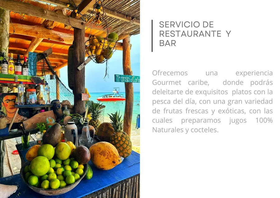 Cardumen Arte Cocina Ecohouse en Barú — 3